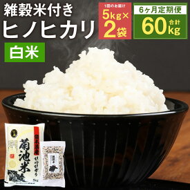 【ふるさと納税】【6ヶ月定期便】熊本県菊池産 ヒノヒカリ 精米 5kg×2袋×6回 合計60kg 6回お届け もち麦入り雑穀米200g×2袋×6回 精米 お米 白米 九州産 熊本県産 送料無料