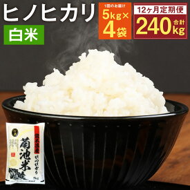 【ふるさと納税】【12ヶ月定期便】熊本県菊池産 ヒノヒカリ 5kg×4袋×12回 合計240kg 12回お届け 精米 お米 白米 九州産 熊本県産 送料無料