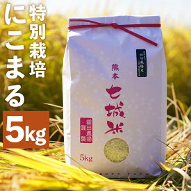【ふるさと納税】極にこまる 5kg 白米 精米 お米 令和4年産 特別栽培米 熊本県産 九州産 送料無料