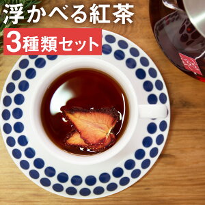 ドライ みかん 紅茶の人気商品 通販 価格比較 価格 Com