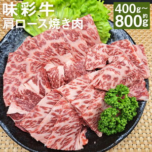 yӂ邳Ɣ[Łzʋ [XĂ 400g/800g Iׂe 1pbN400g [X ē Jbgς   F{Y BY Y Ⓚ 