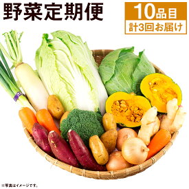 【ふるさと納税】旬の野菜定期便 計3回 旬の野菜 10品【養生市場】 定期便 品種おまかせ ランダム 3ヶ月お届け 計3回 詰め合わせ セット 野菜 九州産 熊本県産 送料無料 《お申し込みの翌月から出荷》