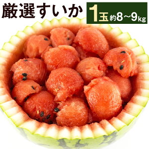 yӂ邳Ɣ[ŁzI  1 8kg`9kg yh[z i킨܂ _ ʕ t[c XCJ Z BY F{Y y2026N5{菇\zys\z
