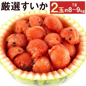 yӂ邳Ɣ[ŁzI  8kg`9kg×2ʁyh[z i킨܂ _ ʕ t[c XCJ Z BY F{Y y2026N5{菇\zys\z