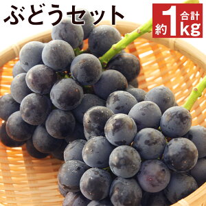yӂ邳Ɣ[ŁzI F{ŶԂǂZbg 1kg yh[z i킨܂ _ ʕ t[c  Zbg Hה BY F{Y s2026N8tys\z