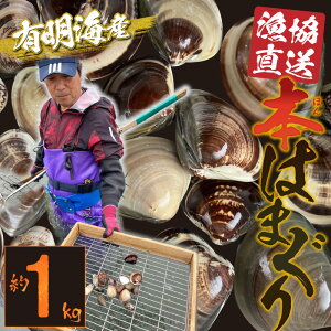 yӂ邳Ɣ[Łz͂܂ {͂܂  1kg  ԓc LCY  L CN Y VR o[xL[ BBQ aH pGA z  Ă͂ ԏĂ Hi  񂹃O