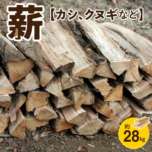 yӂ邳Ɣ[Łzd  28kg 35cm ` 38cm TCY Ύǂ ܐFR ۑS ̖ JV NkM Lt dXg[u Xg[u   gF Lv AEghA ؍ ԎVS 