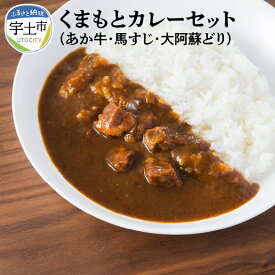 【ふるさと納税】 カレー カレーセット あか牛 馬すじ 大阿蘇どり 化学調味料不使用 保存料不使用 着色料不使用 詰め合わせ 熊本【熊本県宇土市】