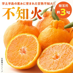【ふるさと納税】福島オレンジ農園 【贈答用】安心安全なおいしい甘く熟した!!不知火 約3kg【熊本県宇土市】