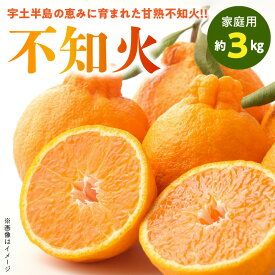 【ふるさと納税】【家庭用】 熊本県産 不知火 約 3kg 樹成 甘熟 柑橘 みかん 甘い 果実 果物 フルーツ オレンジ 国産 福島オレンジ農園 お取り寄せ お取り寄せフルーツ 常温発送 送料無料【熊本県宇土市】