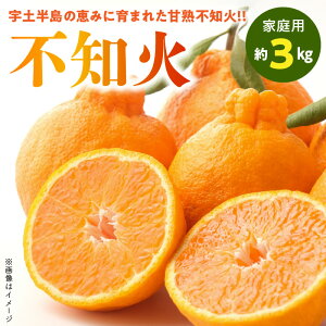 【ふるさと納税】【家庭用】 熊本県産 不知火 約 3kg 樹成 甘熟 柑橘 みかん 甘い 果実 果物 フルーツ オレンジ 国産 福島オレンジ農園 お取り寄せ お取り寄せフルーツ 常温発送 送料無料【熊