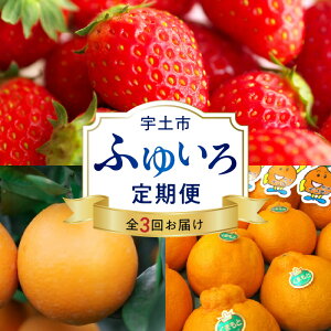 yӂ邳Ɣ[Łzӂ䂢 3 fR| 2kg n 600g ԓcl[u 5kg t[c k W[V[  x12xȏ l[u IW r^~ ~l ʕ ~ 