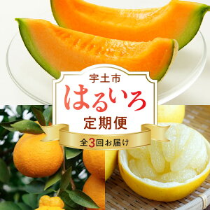 yӂ邳Ɣ[Łz͂邢 3 sm 3kg p[ 5kg  IWn[g 2 t[c k  Z Â _ Hׂ₷ r^~C u₩ ԓn ܂₩ ʕ 
