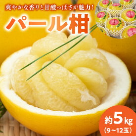 【ふるさと納税】あいあい　　パール柑　約5kg(9〜12玉)【熊本県宇土市】