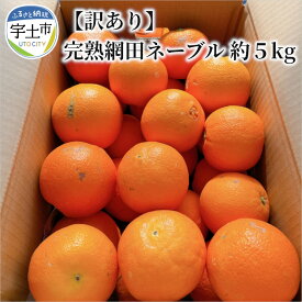 【ふるさと納税】訳あり 完熟 網田 ネーブル 約5kg M 〜 3L 約 25玉 国産 オレンジ ジューシー 酸味 甘み バランス絶妙 最高峰 皇室 献上品 旬 果物 果実 フルーツ 柑橘 みかん デザート お取り寄せ お取り寄せフルーツ 食品 送料無料【熊本県宇土市】