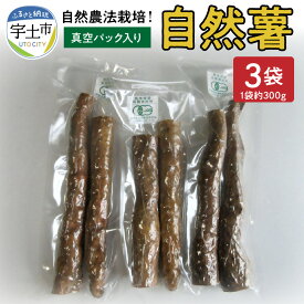 【ふるさと納税】自然薯 やまいも 山菜の王様 約 300g 3袋 真空パック 国産 とろろ 安全 安心 おいしい 高い栄養価 那須自然農園 自然農法栽培 有機JAS 認定事業者 お取り寄せ ギフト 贈り物 熊本県 宇土市 送料無料【熊本県宇土市】