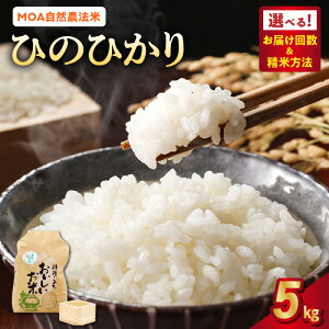 yӂ邳Ɣ[Łzs\ MOAR_@  Ђ̂Ђ 5kg Iׂ Pi  3 ` 12 ĕ@I    ܕ  ߐ{R_ SۑS^_Ɛi