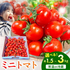 【ふるさと納税】【令和8年熊本地震復興支援】 【先行予約】 ミニトマト 選べる 内容量 約 1.5kg 3kg 配送方法 常温 冷蔵 鮮度抜群 朝どれ 新鮮 そのままお届け プチトマト 農家直送 甘み コク 旨味 ギフト用 贈答用 奇跡のミニトマト お取り寄せ 送料無料 【熊本県宇土市】