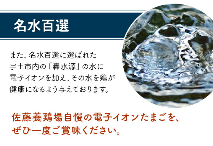 楽天市場 ふるさと納税 佐藤養鶏場 至福の電子イオンたまご だし醤油セット 熊本県宇土市 熊本県宇土市