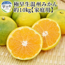 楽天市場 酸っぱい みかんの通販