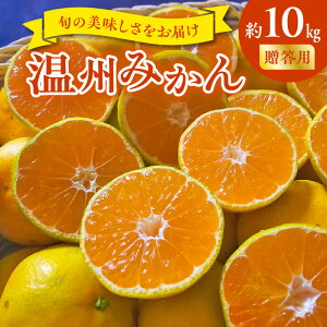【ふるさと納税】贈答用 温州みかん 約 10kg 1箱 進栄 柑橘 果実 常温 果物 ビタミンC 豊富 みかん 旬 国産 フルーツ デザート 熊本 九州 食品 お取り寄せ お取り寄せフルーツ 送料無料【熊本県