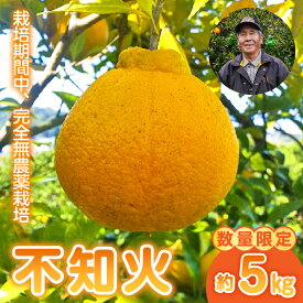 【ふるさと納税】【先行予約】数量限定 中嶋果樹園 栽培期間中 完全 無農薬 MOA自然農法 柑橘 みかん 不知火 しらぬい 植物性資材のみを使用 約 5kg 安心 安全 お取り寄せ 熊本県 宇土市 送料無料