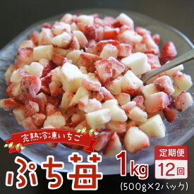 【ふるさと納税】園村苺園 完熟冷凍いちご「ぷち苺」1kg（500g×2パック）【定期便 12回】【熊本県宇土市】