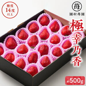 yӂ邳Ɣ[Łz ɍKT ̂  500g x14xȏۏ uh B F{Y Ö _ | RN r^~C ① 蕨 Mtg lΉ Xgx[ Hi  t[c