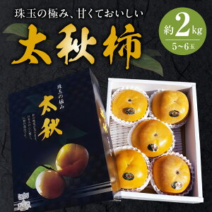 yӂ邳Ɣ[Łz` p H`  2kg 5 ` 6 FysY Y W[V[ TNTN H Â   i ̂܃t@[ ʕ t[c Mtg  蕨 v[g 