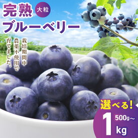 【ふるさと納税】ブルーベリー 完熟 選べる 4パック 2パック 厳選 大粒 小分け フルーツ 果物 ヨーグルト スムージー パンケーキ アレンジ 新鮮 栽培期間中 農薬 不使用 化粧箱 期間限定 熊本県産 宇土 お取り寄せ 熊本 九州産 国産 特産品 冷蔵便 送料無料 【熊本県宇土市】
