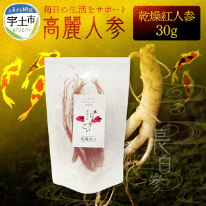 yӂ邳Ɣ[ŁzlQ  30g I^ljW NlQ glQ pbN  ANA|jbNX k͔| aA T|j e V   T_ IЂ  
