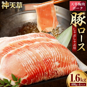 yӂ邳Ɣ[ŁziԒjSI~GLXV~|[N ؃[X Ԃԗp 1.6kg 400g×4pbNt _ѐYb܎ ؓ  ~GLX Ⓚ Y 