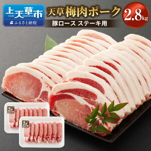 yӂ邳Ɣ[ŁziԒjSI~GLXV~|[N ؃[X Xe[Lp 2.8kg 1.5cm 14ȏ _ѐYb܎ ؓ   ~GLX Ⓚ Y  y