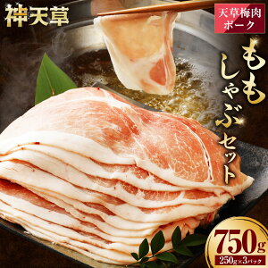yӂ邳Ɣ[ŁziԒjSI~GLX V~|[NԃZbg 750g   F{Y VY BY ~ ؓ |[N Ԃ  Ⓚ  y