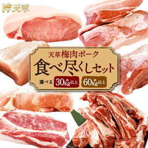 yӂ邳Ɣ[Łzyؔor1IzSI~GLXF{Y V~|[N HאsZbg  30kgȏ ܂ ꓪ 60kgȏ   ؓ  |[N ~|[N l