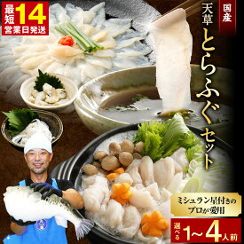 【ふるさと納税】【ミシュラン星付きのプロが愛用】【数量限定】ふぐの王様 国産 天草とらふぐ てっさ・てっちり満腹・贅沢セット 選べる内容量 1〜4人前 17000円 ～ 32000円 1万7000円 ～ 3万2千円 河豚 フグ ふぐ鍋セット てっちりセット お刺身 ふぐ皮 刺し身 フルコース