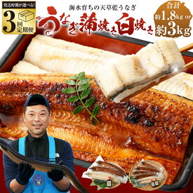 【ふるさと納税】【容量と発送時期が選べる3回定期便】【ミシュラン1星店 採用】数量限定 1日10セット限定 海水育ちの天草藍うなぎ 紅白3~4尾/5~7尾セット【合計約600g/1kg】鰻 高級 ウナギ ニホンウナギ 熊本産 蒲焼 蒲焼き たれ 贈り物 ご褒美 簡単調理 丑の日 送料無料