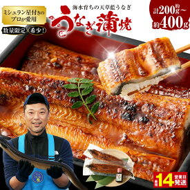 【ふるさと納税】【ミシュラン星付きのプロが愛用】数量限定 〈選べる容量〉海水育ちの天草藍うなぎ 蒲焼き 合計約200g（1尾）合計約400g（2～3尾）【合計約200g（1尾）または 合計約400g（2～3尾）】 うなぎ 蒲焼き 鰻 蒲焼セット ギフト 贈答品