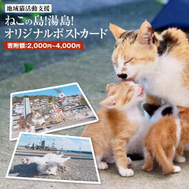 【ふるさと納税】ねこの島！湯島！オリジナルポストカード【地域猫活動支援】 2枚 選べる寄附額 カード ポストカード ねこ 猫 雑貨 送料無料