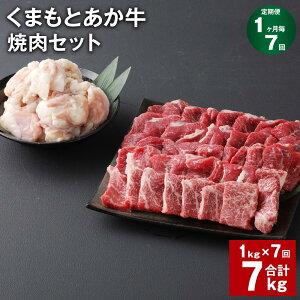 yӂ邳Ɣ[Łzyցzy17z܂Ƃ ēZbg v7kgi1kg×7j ē 700g z 300g a    Ԑg ~ BBQ   c O 