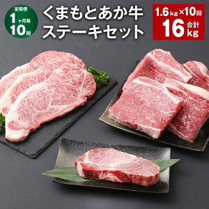 yӂ邳Ɣ[Łzyցzy110z܂Ƃ Xe[LZbg v16kgi1.6kg×10j q T[C  T[CXe[L    uh a Zbg Hה 