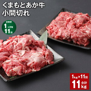 yӂ邳Ɣ[Łzyցzy111z܂Ƃ Ԑ؂ v11kgi1kg×11j   uh a ܐ؂ R} B Y Ⓚ F{ Vs  yVX[p