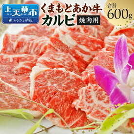 【ふるさと納税】GI くまもとあか牛 カルビ 焼肉用 600g 和牛 牛 牛肉 スライス 国産 九州産 熊本県産 冷凍 送料無料