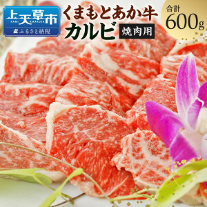 yӂ邳Ɣ[ŁzGI ܂Ƃ Jr ēp 600g a   XCX Y BY F{Y Ⓚ  yVX[p[SALE 9J
