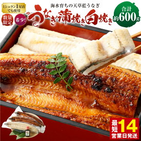 【ふるさと納税】【ミシュラン星付きのプロが愛用】数量限定 海水育ちの天草藍うなぎ 蒲焼き 白焼き 3尾～4尾セット 合計約600g または 5尾～7尾セット 合計約1kg うなぎ 蒲焼き ウナギ 鰻 蒲焼セット 特選だれ ニホンウナギ ギフト 老舗 贈答品