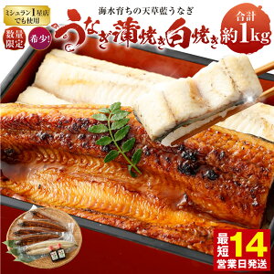 yӂ邳Ɣ[Łzy~Vt̃vpzʌ C炿̓VȂ Ă Ă 3`4Zbg v600g ܂ 5`7Zbg v1kg Ȃ Ă EiM V 