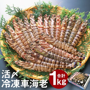 yӂ邳Ɣ[ŁzVYYⓀԊCV 250g×4pbN v1kg 28`40 ܂ CV CN Y BY F{Y Ⓚ  ^pbN }Ⓚ y2025N11{Jnz yV