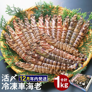 yӂ邳Ɣ[Łzy2025N1216ɓmFŔNzVYYⓀԊCV 250g×4pbN v1kg 28`40 ܂ CV CN Y BY F{Y Ⓚ  ^pbN }Ⓚ 