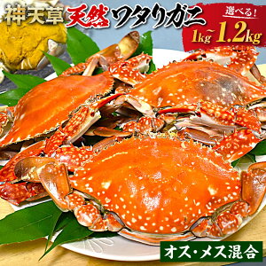 yӂ邳Ɣ[ŁzVY VR^Kj IXEX 1kg`1.2kg 3t`6t Iׂe I Jj nI CY CN C̍K VR q ɖX Y B Ⓚ F{ Vs  y