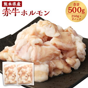 yӂ邳Ɣ[Łz F{Y ԋ z v500g 250g×2pbN z     ύ ē    Ⓚ 